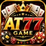 AT77 Game